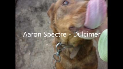 Aaron Spectre - Dulcimer