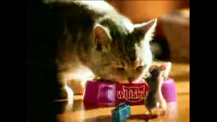 Whiskas Dancing Mouse 30.mpg