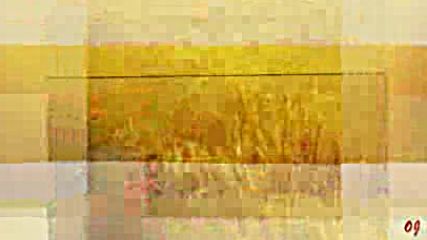 The beauty the fields Panflute music