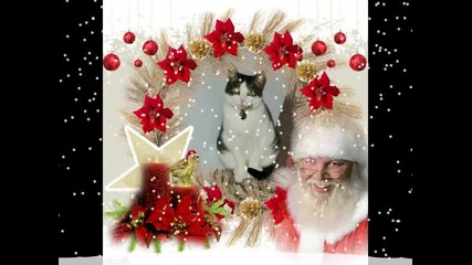 Merry Christmas Bg-mamma