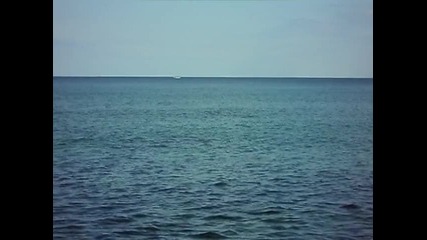 Делфини 2 22.09.2012