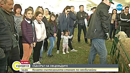 Национален събор на овцевъдите в България