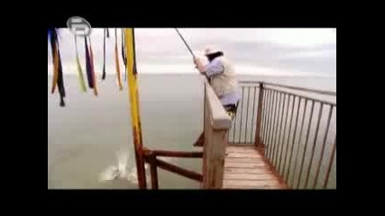 Аламинут - Рибар