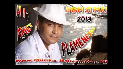 H I T Amet - Imam Si Pari 2013 mp3. P L A M E N C H O
