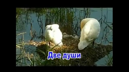 Елена Ваенга и Ал. Малинин - Две Души...