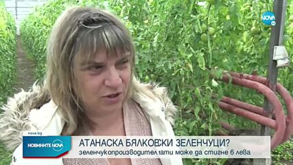Производители предупреждават: Българските зеленчуци може да изчезнат от пазара