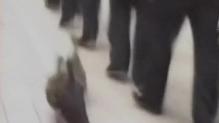 Патки в полицията 