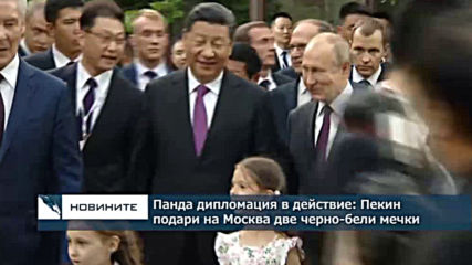 Панда дипломация в действие: Пекин подари на Москва две черно-бели мечки