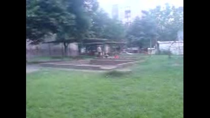 Svetulkata