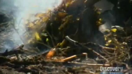 Man vs Wild Аляска [част4/8]