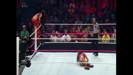 Brie vs Nikkie ( загубилата ще трябва да стане асистентка на победителката ) - Hell in a Cell 2014