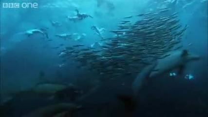 Просто невероятно 