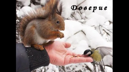 Доверие и вяра- Вярвам в теб и мен- Whitney Houston