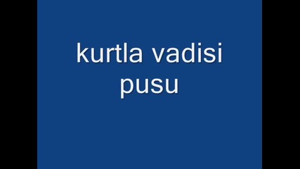 kurtlar vadisi pusu