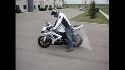 Suzuki Whiterider Burnout 