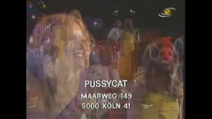 Pussycat - Georgie