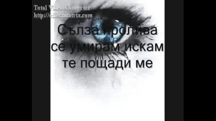 Lipsvash Mi