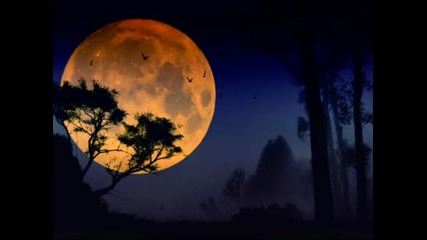 chris rea - just wanna be with you