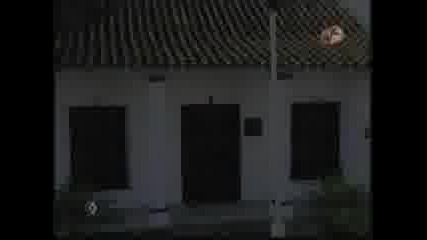 verano de amor 81 - 2