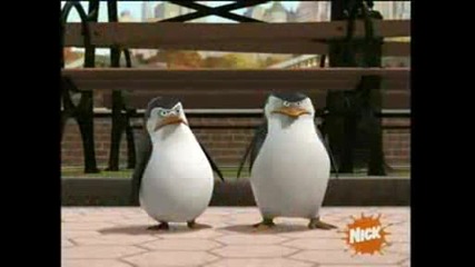 The Penguins Of Madagascar - Paternal Egg Stinct