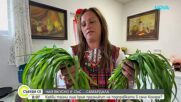 Какви тайни крие подправката самардала