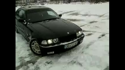 Bmw e36 2010