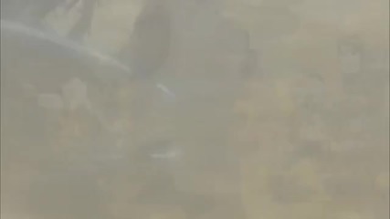 [hd] Naruto Amv