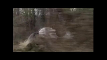 Coco Chanel - Hush Hush ( I will survive) - Pussycat Dolls
