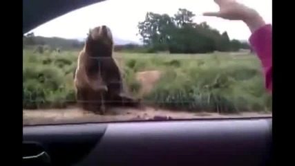 Много смях - 10 Мин.
