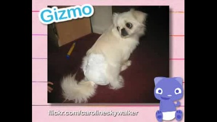 :) Животни С Памперси :)