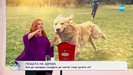 Пощата на Здрава: полезни съвети за всякакви ситуации - „На кафе“ (10.10.2024)