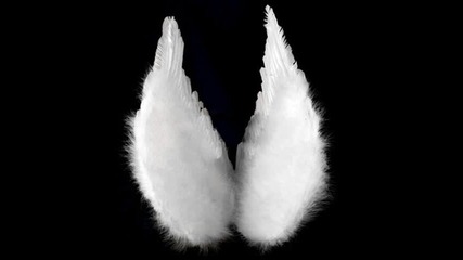 Morandi Angels 10 