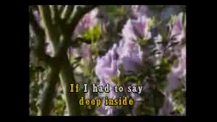 Smokey Mountain - Can This Be Love Karaoke