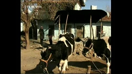 Аси - 14 епизод / 3ч.