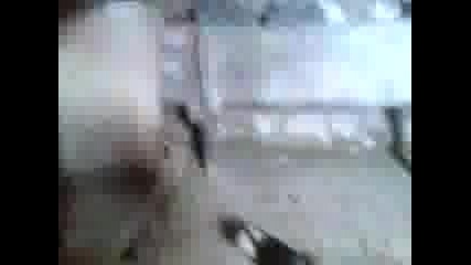 Видео003
