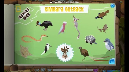 Animal Jam-facts of Kimbara Outback