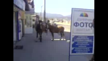 Два Коня На Главна Улица В Самоков