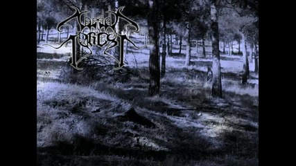 War Forest - Muerte