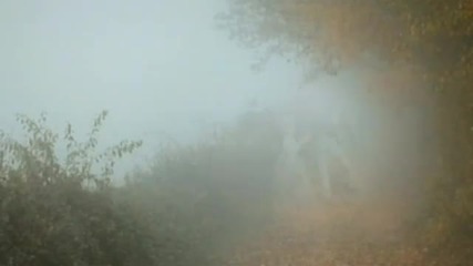 Antonio Vivaldi - The Four Seasons.