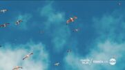 „Стотинки за смет“ в „Темата на NOVA“