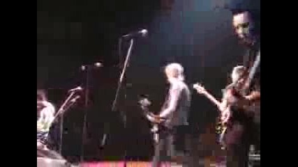 Camp Freddy - New Rose