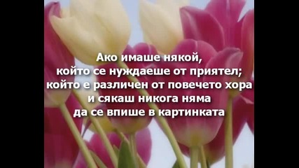 Doug Walker - Jesus Would (исус би го направил)