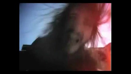 Suicidal angels-beyond the laws of church