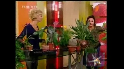 Остана ли нещо здраво - Господари на ефира, 24.06.2009