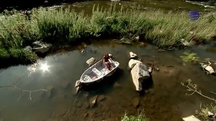 Галена- Ранена птица
