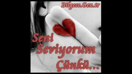 Movie 0004.wmv