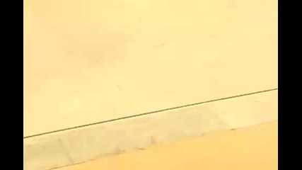 skateboarding day 