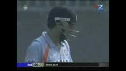 Cricket 