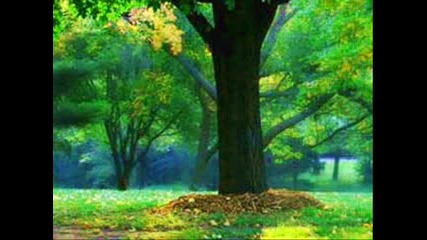 Always - Chris Spheeris