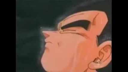 Dragon Ball Z Fighters